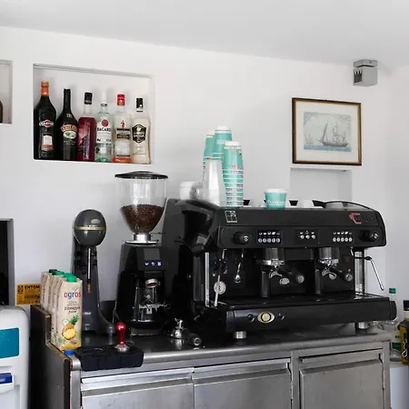 Dionysia S6 アリカナス