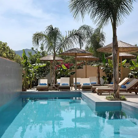 Dionysia S6 阿利卡纳斯